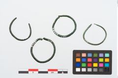 Foto von Bronzering (NHMW-PRAE-024587)